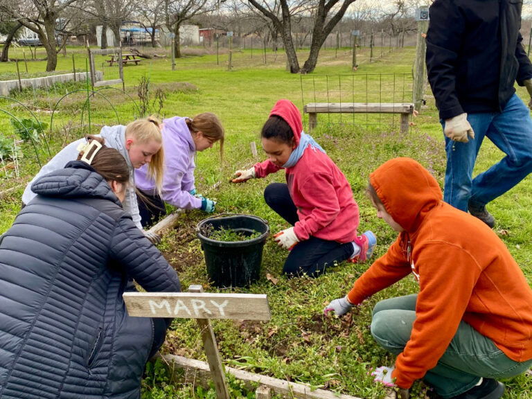 Youth in the Burleson Texas Stake clean up a community garden at the Russell Farm Art Center in Burleson, Texas, on February 17, 2024.